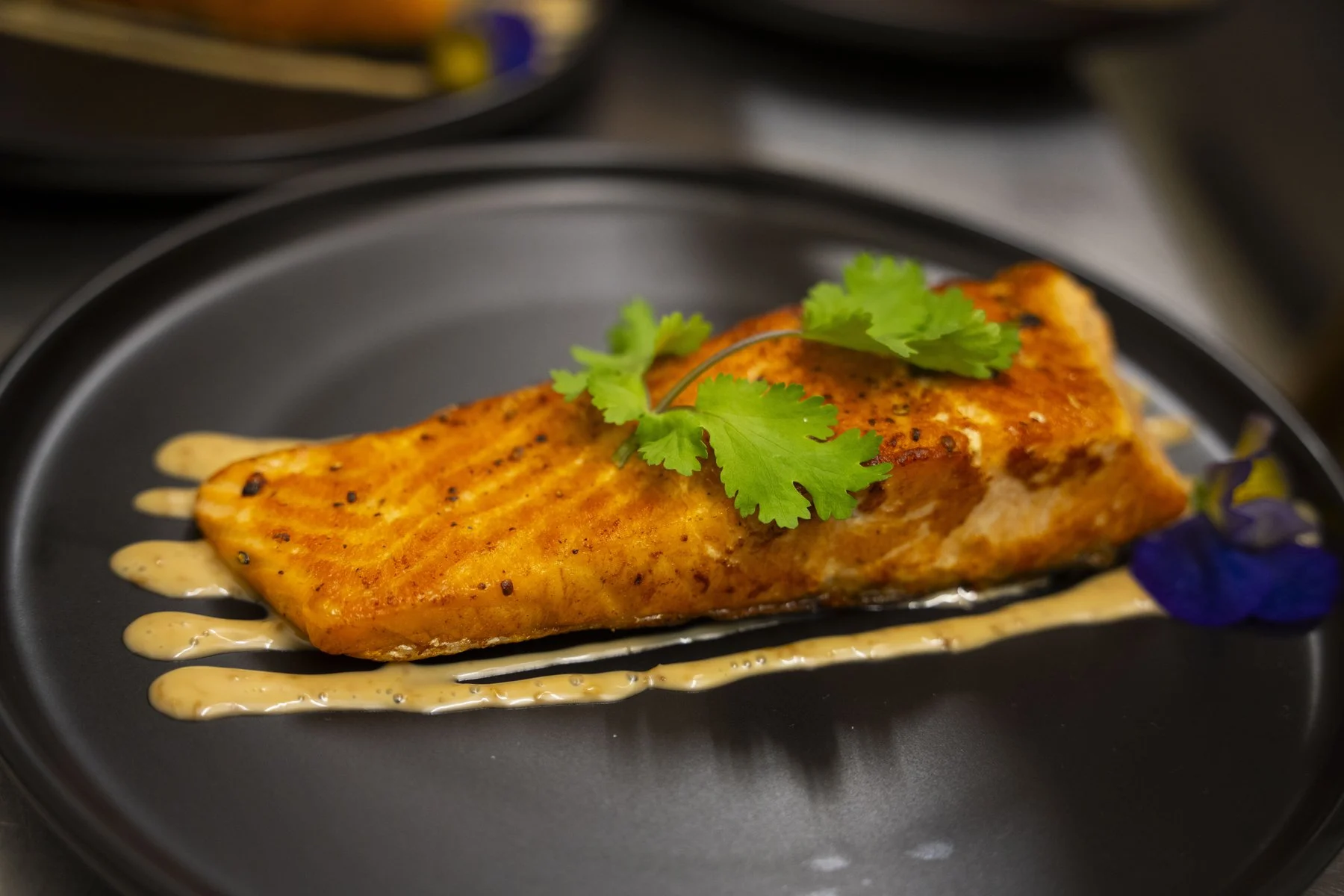 Plated salmon with fresh coriander served at a private dinner at Haus Jordans, Neuss